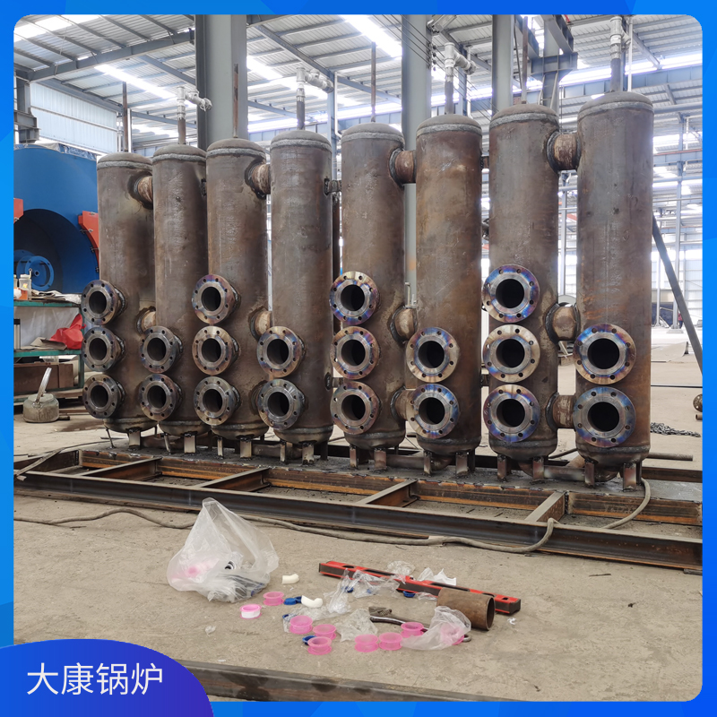 3吨燃生物质九游网页版登录入口-九游J9（中国）