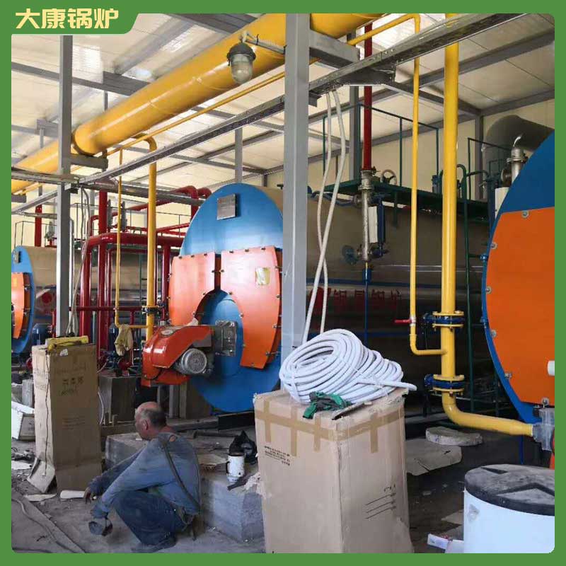 4吨生物质生物质九游网页版登录入口-九游J9（中国）